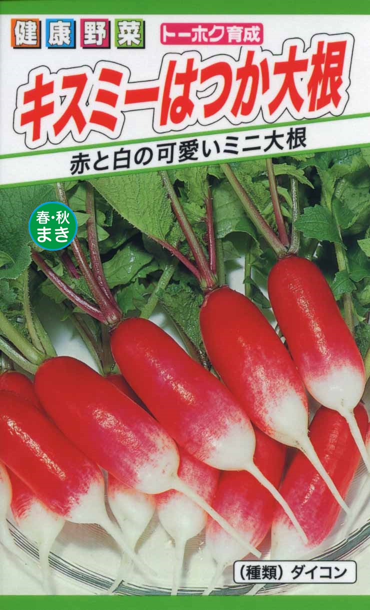 ダイコン 二十日大根 野菜のタネ 株式会社トーホク