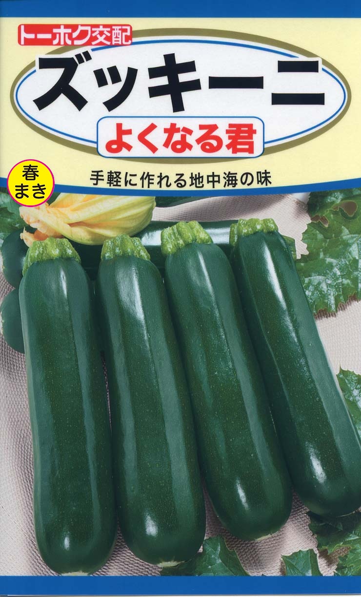 ズッキーニ 野菜のタネ 株式会社トーホク