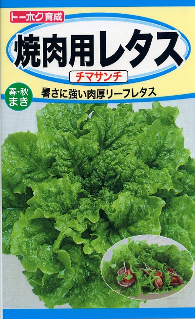レタス 野菜のタネ 株式会社トーホク